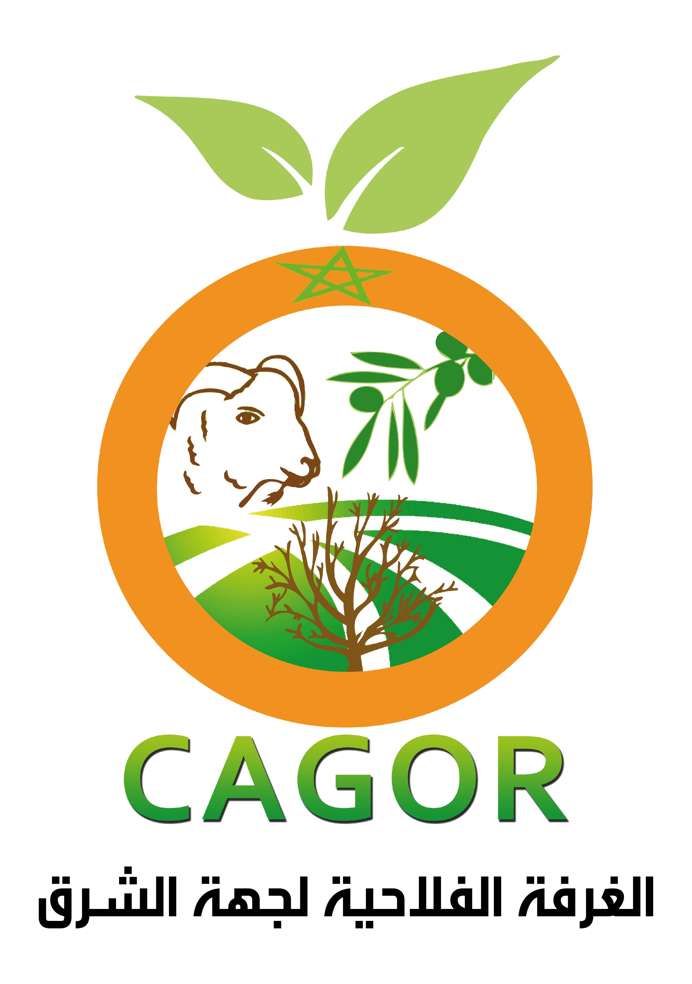 CAGOR – Chambre d'Agriculture de la Région de l'Oriental
