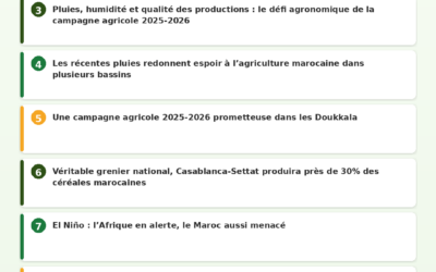 Revue de Presse Agricole — 07/06/2026