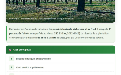 Conduite et taille de l&rsquo;amandier — Guide technique CAGOR