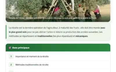 Récolte de l&rsquo;olivier — Guide technique CAGOR
