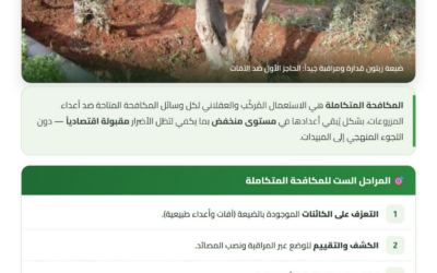 المكافحة المتكاملة لأعداء شجرة الزيتون: الآفات الحشرية (الجزء الأول) — دليل تقني CAGOR