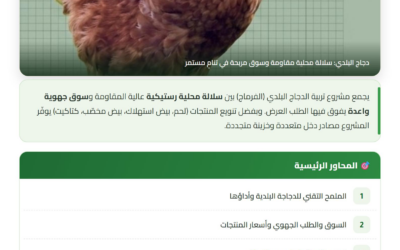 دجاج البلدي: السوق والربحية والملمح التقني — بطاقة تقنية CAGOR
