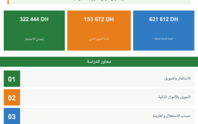 مشروع الاستثمار في الدجاج البلدي: دراسة اقتصادية ومردودية — CAGOR