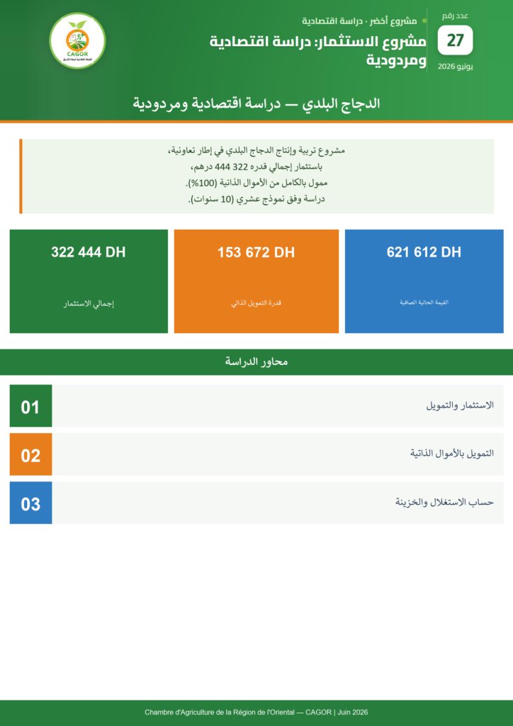 مشروع الاستثمار في الدجاج البلدي: دراسة اقتصادية ومردودية — CAGOR