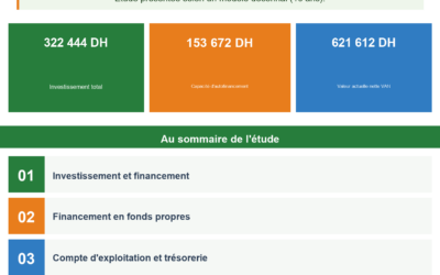 Projet d&rsquo;investissement en élevage du poulet Beldi : étude économique et rentabilité — CAGOR