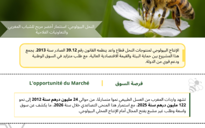 مشروع أخضر: إنتاج وتثمين منتوجات النحل بطريقة بيولوجية 🐝