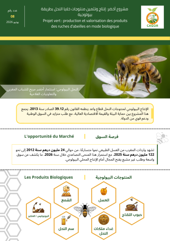 مشروع أخضر: إنتاج وتثمين منتوجات النحل بطريقة بيولوجية 🐝