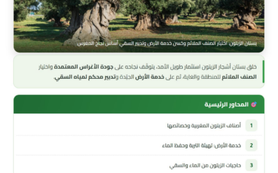 أصناف الزيتون وخدمة الأرض والسقي — دليل تقني CAGOR