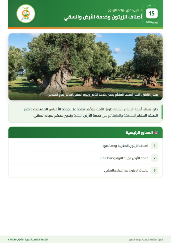 أصناف الزيتون وخدمة الأرض والسقي — دليل تقني CAGOR