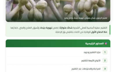 تقليم شجرة الزيتون — دليل تقني CAGOR
