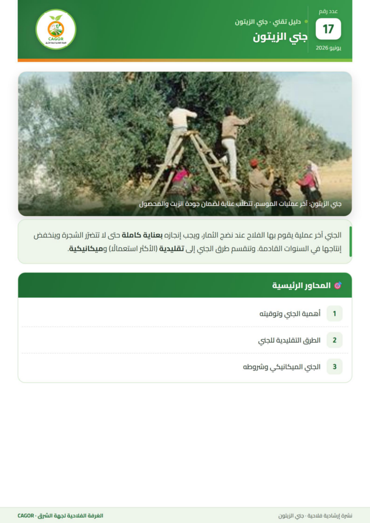 جني الزيتون — دليل تقني CAGOR