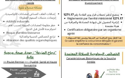 Poulet Fermier — Fiche Technique N°03 : Un Projet Agricole Durable et Rentable