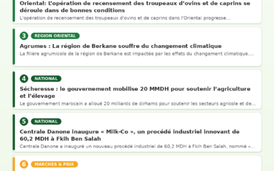 Revue de Presse Agricole — 02/07/2026