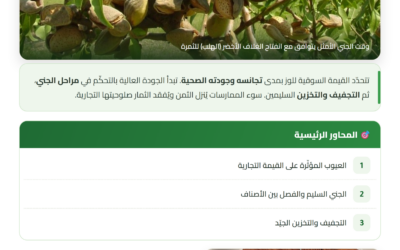 جني اللوز وتخزينه لضمان الجودة