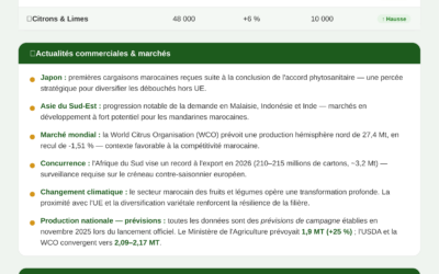 Bulletin Filière Agrumes — Campagne 2025-2026 : production en forte reprise et diversification des marchés