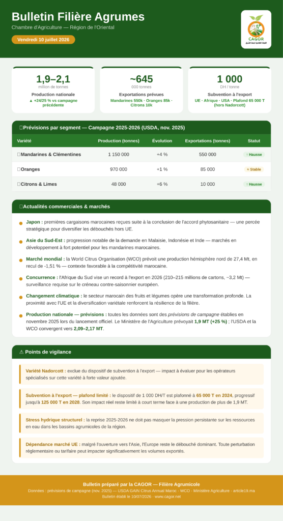 Bulletin Filière Agrumes — Campagne 2025-2026 : production en forte reprise et diversification des marchés