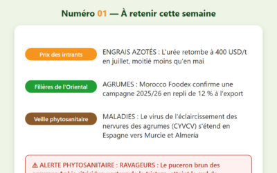 Bulletin de Veille Agricole — CAGOR