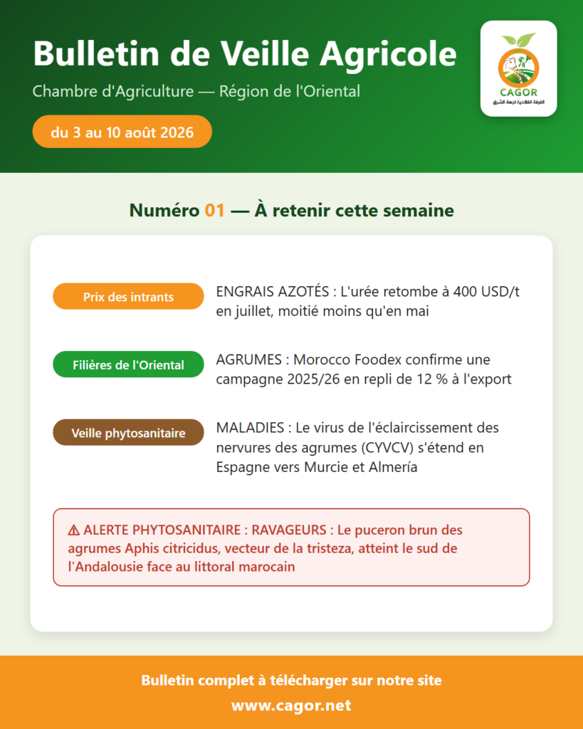 Bulletin de Veille Agricole — CAGOR